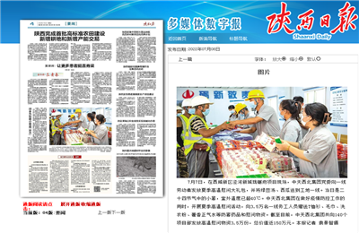 AG贵宾会西北集团珑樾府项目高温慰问——《陕西日报》